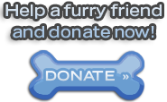 Donate with PayPal