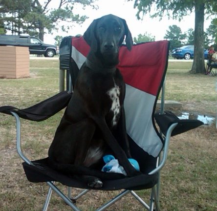 Gracie, Now Maxie!