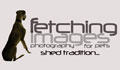 Fetching Images Photography for Pets